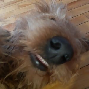 Meet your Posher, Laurence